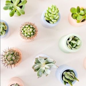 Meet your Posher, Maddie